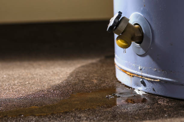 Best 24-hour water damage restoration  in Tolleson, AZ