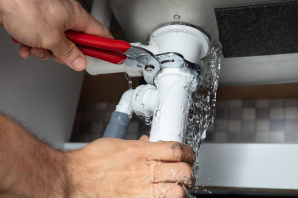 Best Mold removal after water damage  in Tolleson, AZ