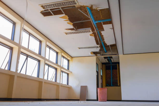 Trusted Tolleson, AZ Water damage restoration Experts