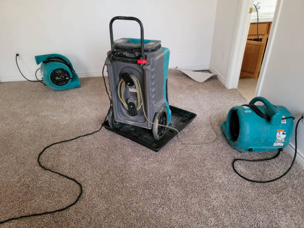 Tolleson, AZ Water damage restoration Company