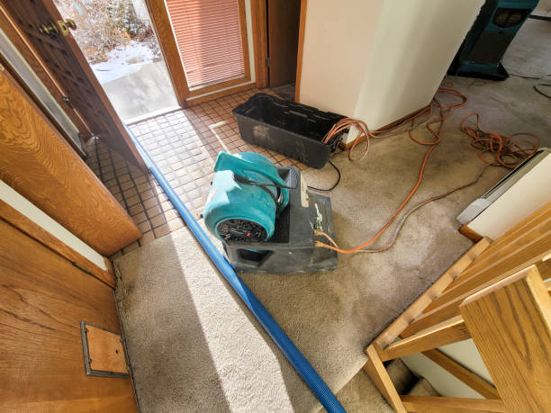 24/7 water damage repair in Tolleson, AZ