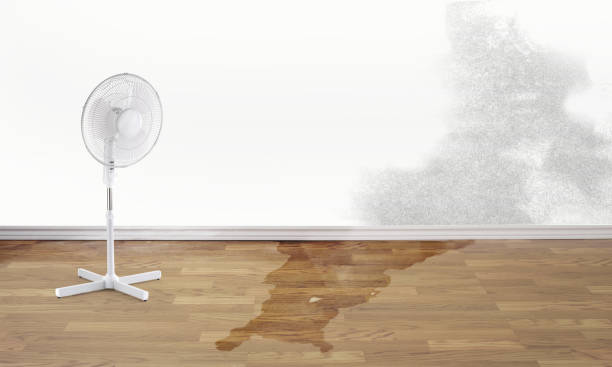 Best Emergency water damage restoration  in Tolleson, AZ