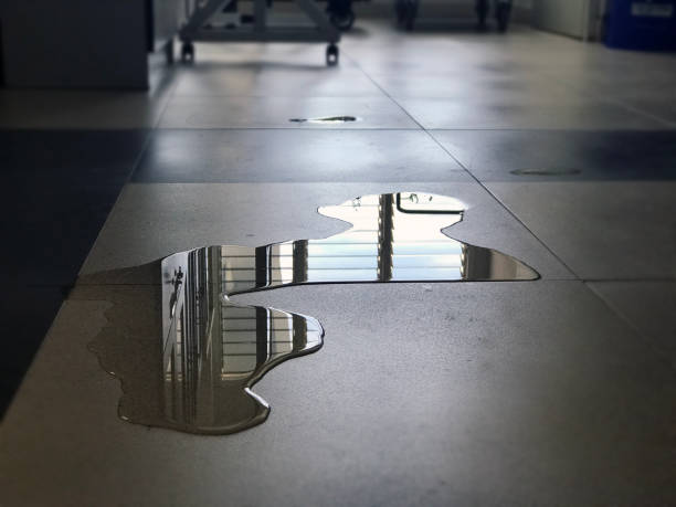Best Carpet water damage restoration  in Tolleson, AZ