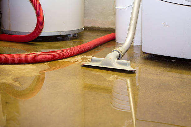 Reliable Tolleson, AZ Water damage restoration Solutions