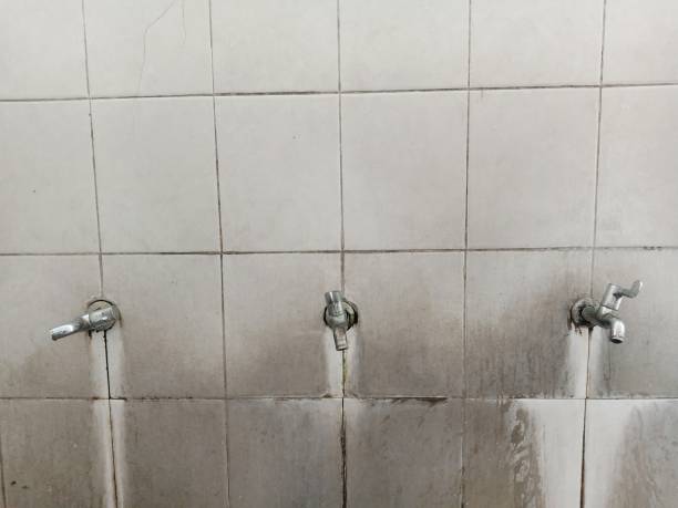 Best Commercial water damage restoration  in Tolleson, AZ