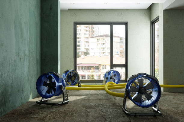 Best Emergency water damage restoration  in Tolleson, AZ